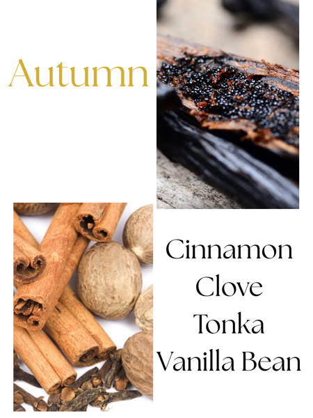 Autumn Moon Candle Autumn scent profile picture of cinnamon, clove, tonka and vanilla bean