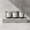 3 Autumn Moon Candle Autumn Pumpkin Pie Spice and Balsam Fir