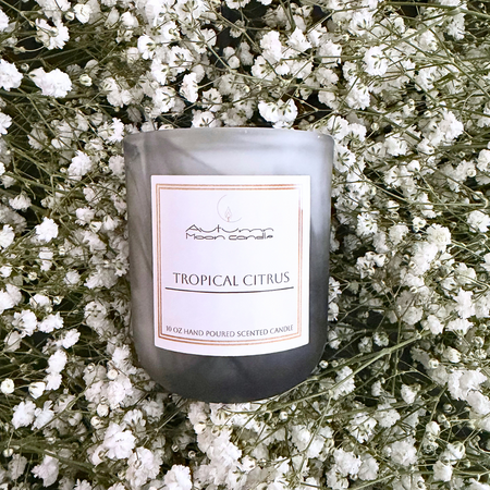 Autumn Moon Candle 10oz Tropical Citrus candle tropical citrus candle with mandarin and pineapple